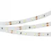 Лента светодиодная Arlight RT 2-5000 12V White6000 (3528, 300 LED, LUX) 010522(B)