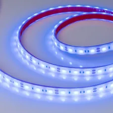 Лента светодиодная герметичная RTW 2-5000PGS 12V Blue 2x (5060, 300 LED, LUX) (14.4 Вт/м, IP67) ARLIGHT 