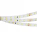 Лента светодиодная Arlight RT 2-5000 24V White6000 1.6x (2835, 490 LED, PRO) 019913(B)