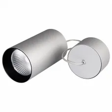 Светильник подвесной SP-POLO-R85-2-15W Day White 40deg (Silver, Black Ring) (Arlight, IP20 Металл, 3 года)