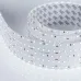 Лента светодиодная S2-2500 24V White 6000K 59mm (2835, 420 LED/m, LUX) (30 Вт/м, IP20) ARLIGHT