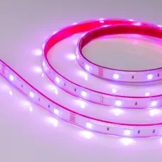 Лента светодиодная герметичная RTW-PS-B30-13mm 12V RGB (7.2 W/m, IP67, 5060, 5m)  ARLIGHT 