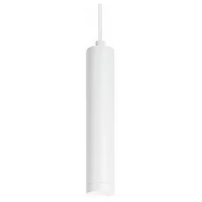 Светильник MAG-ORIENT-SPOT-HANG-R45-12W Day4000 (WH, 24 deg, 48V) (Arlight, IP20 Металл, 5 лет)