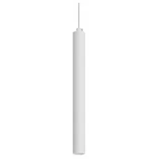 Светильник SP-PIPE-HANG-L300-R30-9W Day4000 (WH, 24 deg, 230V) (Arlight, IP20 Металл, 3 года)