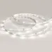 Лента светодиодная Arlight RT 2-5000 24V Day4000 0.5x (3528, 150 LED, LUX) 019918(1)