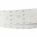 Лента светодиодная S2-2500 24V White 6000K 59mm (2835, 420 LED/m, LUX) (30 Вт/м, IP20) ARLIGHT