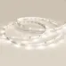 Лента светодиодная Arlight RT 2-5000 24V Warm3000 0.5x (3528, 150 LED, LUX) 024112(B)