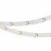 Лента светодиодная RZ-A160-15mm 24V White6000 (19.2 W/m, IP20, 2835, 5m) ARLIGHT