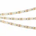 Лента светодиодная RT-A120-8mm 12V Warm3000 (9.6 W/m, IP20, 2835, 5m) (Открытый) ARLIGHT