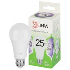 Лампа светодиодная GREEN LINE A60-25W-865-E27 GL 25Вт груша 6500К свет холод. E27 Эра Б0067111