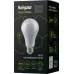 Лампа светодиодная 14 554 Smart Home NLL-A60-10-230-RGBWWW-E27-WIFI матовая E27 176-264В Navigator 14554 Лампа светодиодная 14 554 Smart Home NLL-A60-10-230-RGBWWW-E27-WIFI матовая E27 176-264В Navigator 14554