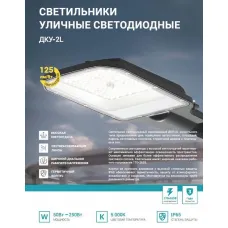 Светильник уличный линзованный светодиодный ДКУ-2L 50Вт 230В 5000К 6250лм 125лм/Вт 42-48мм IP65 NEOX 4690612057071