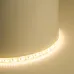Светодиодная Светодиодная LED лента Feron LS626, 180SMD(2835)/m 17W/m 12V 5000*10*1,22мм 3000К IP65