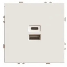 Розетка 2-местная USB + Type C (механизм), STEKKER, 250В, 20W, серия Эмили, RST10-5115-08, кашемир, soft touch